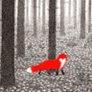 Meet your Posher, Katelyn